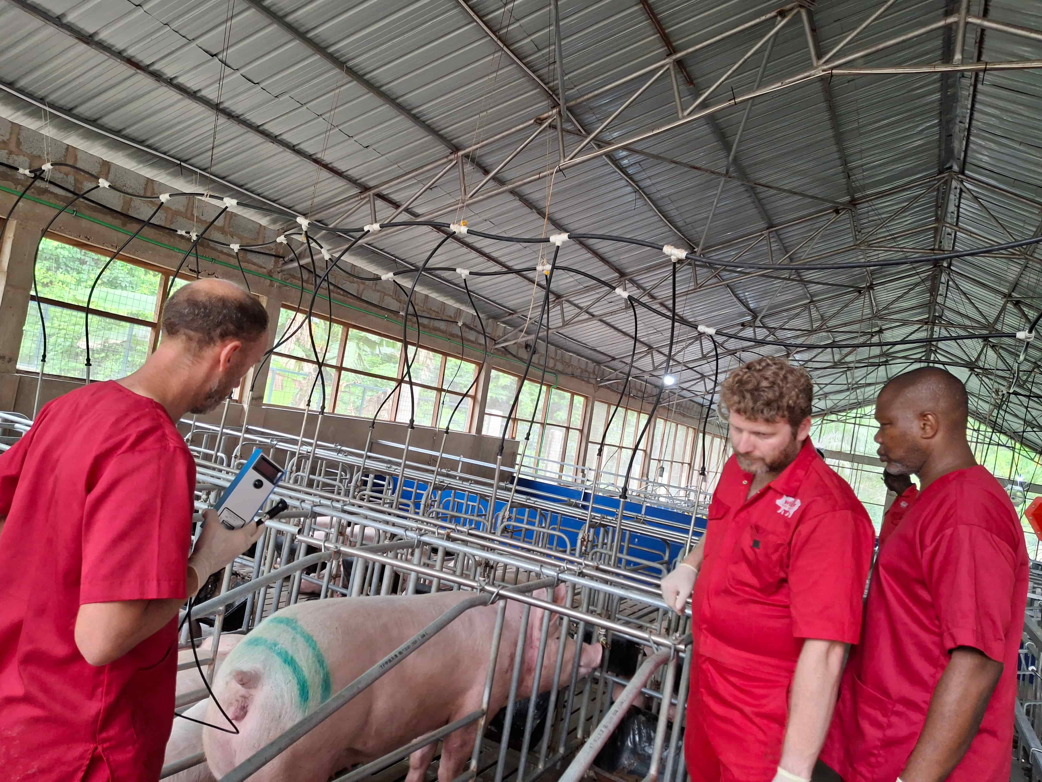 Operating model illustration